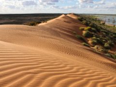 Vic Widman's Big Red, Simpson Desert, 70 kilometres west of Birdsville