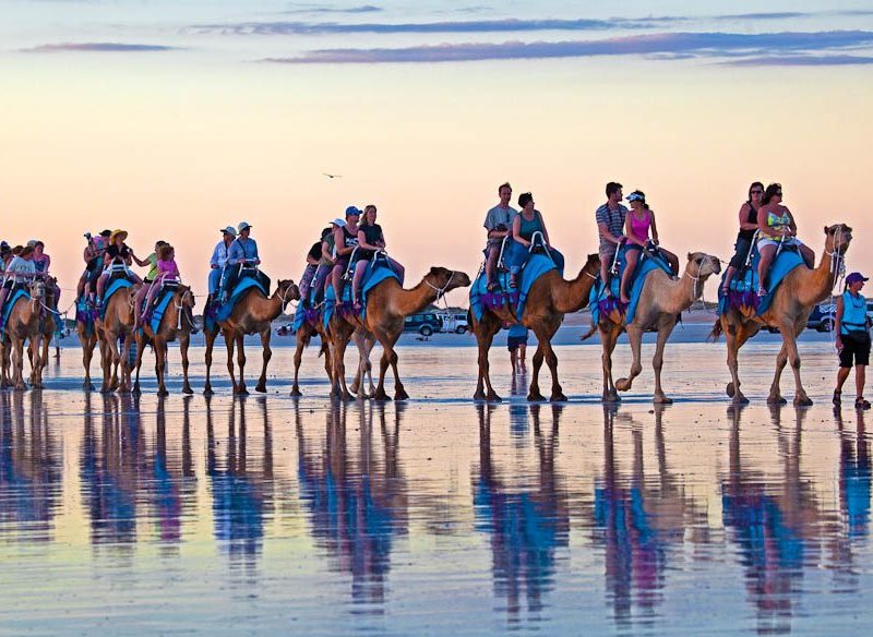 Camel reflections, Cable Beach