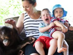 Quentin's family 'enjoying' their holiday - refer to his lessons one through four