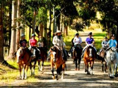 Margaret River by horseback