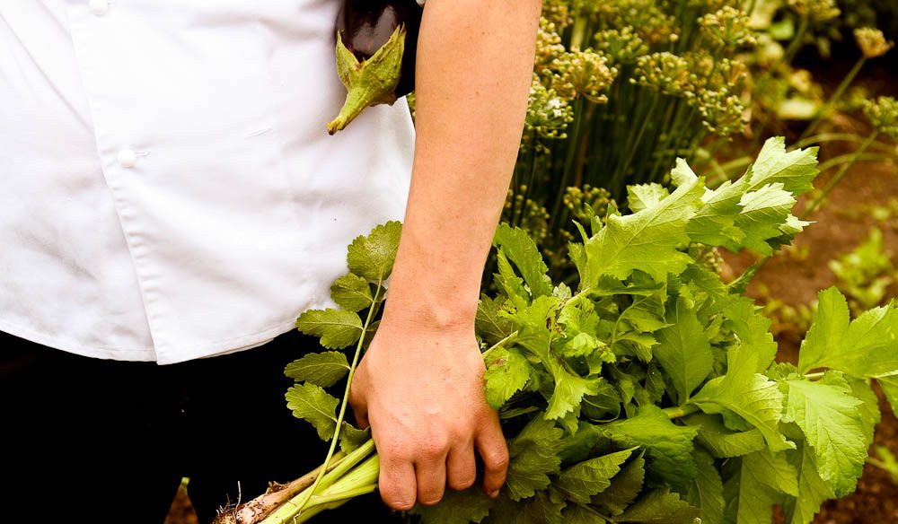 Fresh produce from the Royal Mail Hotel kitchen's garden.