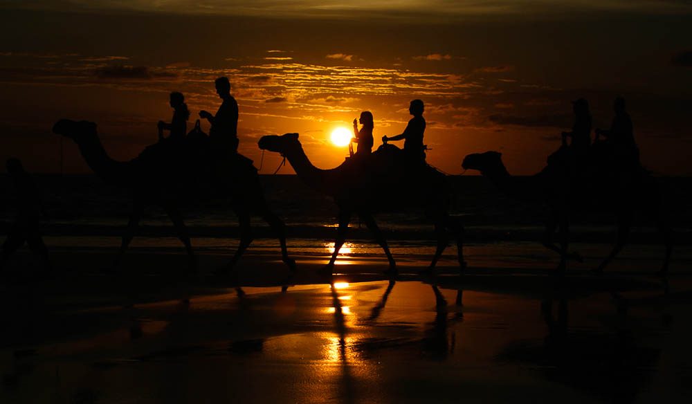 Camel silhouette, Cable Beach (Wayne Talbot)