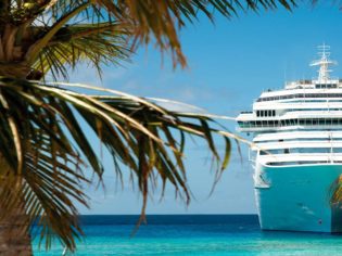Read our tips for the cruising novice before you book your holiday - they could save you an ocean of angst.