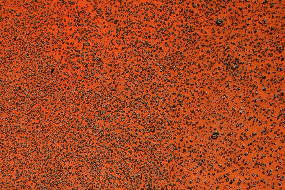 Murchison scrub country, east of Geraldton, Western Australia