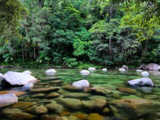 The ancient mossy river boulders of Mossman Gorge, Daintree rainforest.