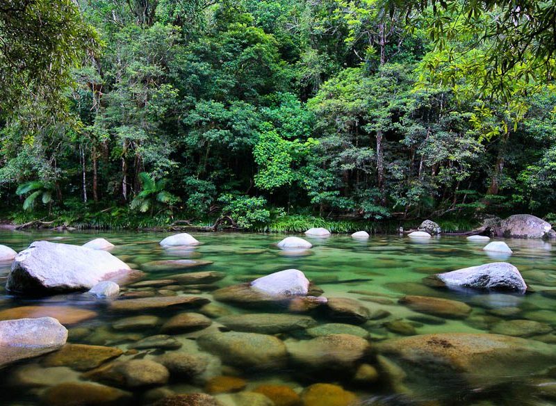 The ancient mossy river boulders of Mossman Gorge, Daintree rainforest.