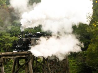 Puffing Billy at full steam in the Dandenong Ranges (Photo: Nick Anchen).