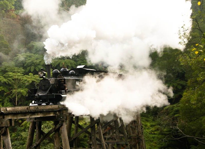 Puffing Billy at full steam in the Dandenong Ranges (Photo: Nick Anchen).