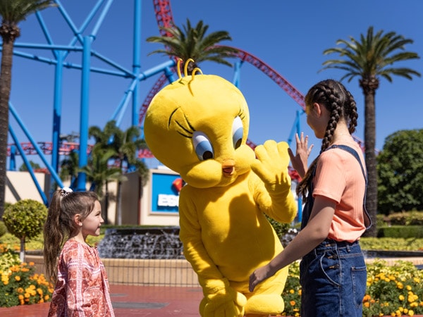 The Ultimate Guide to Gold Coast Theme Parks