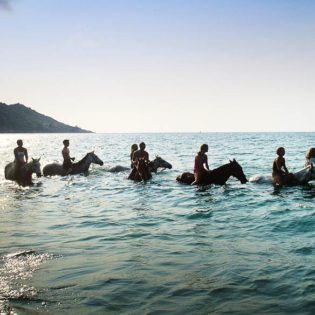 A swim with horses in where else but Horseshoe Bay, Magnetic Island