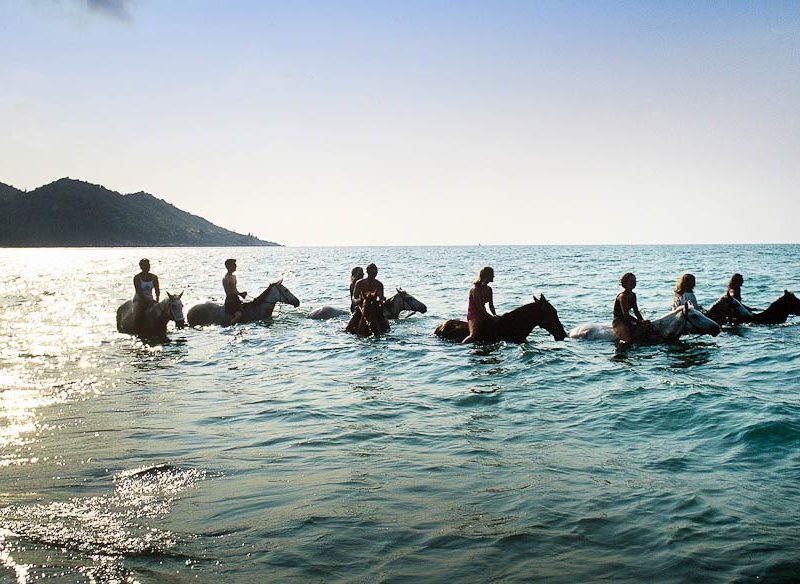 A swim with horses in where else but Horseshoe Bay, Magnetic Island