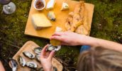 Local produce in the wilds of Bruny Island.