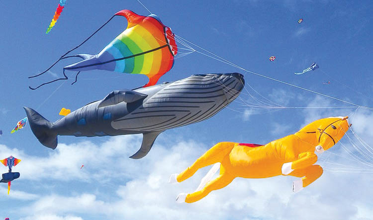 51: Get tangled up in a kite festival