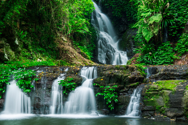 Lamington National Park QLD