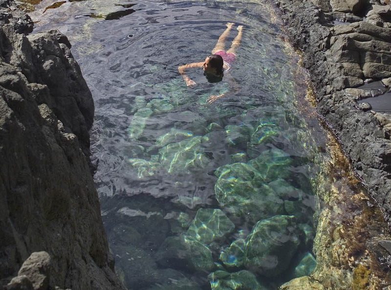 6: Discover the underwater world of rockpools