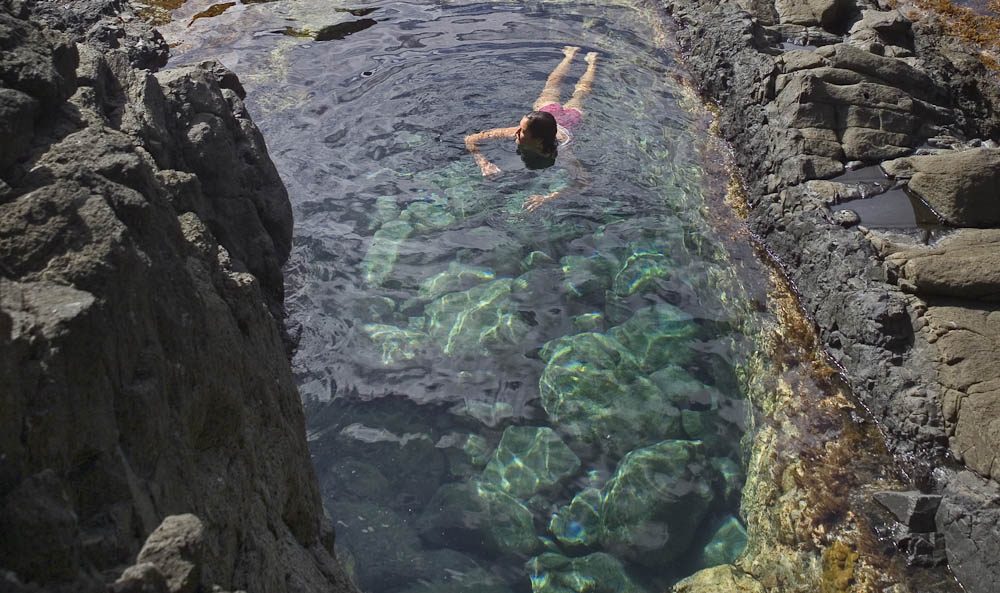 6: Discover the underwater world of rockpools