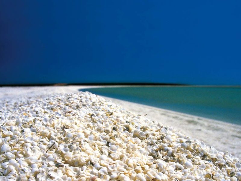36: Visit a beach made entirely of shells (WA)