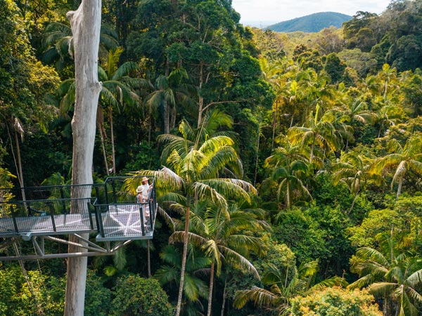 two people on top of the Tamborine Rainforest Skywalk 