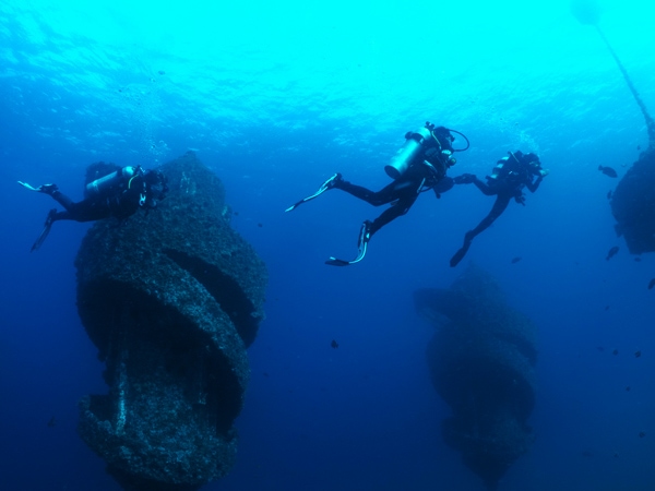 scuba divers exploring underneath Wonder Reef, Gold Coast