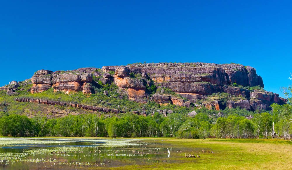 Anbangbang Billabong, Kakadu (Photo: Tracy Ryan).