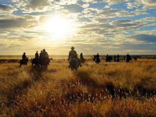 City Slickers: Outback muster to end them all