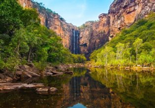 Kakadu photography: A professional shares where to get the best shots