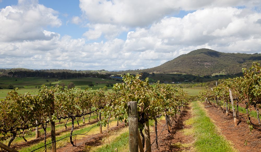 Pokolbin NSW