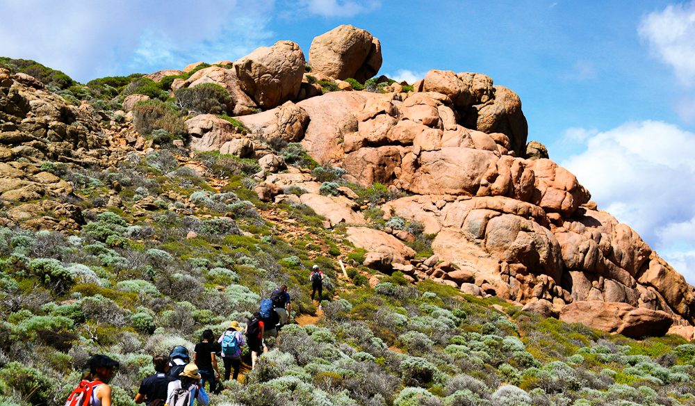 Cape to Cape track WA