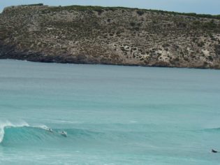 Doplhin surfing at Pennington Bay Kangaroo Island