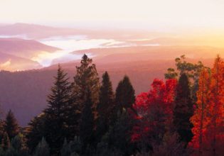 Blue Mountains Botanic Garden sits on the summit of Mount Tomah