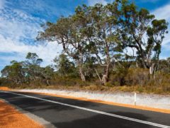 Cruising through the diverse Walpole-Nornalup National Park.