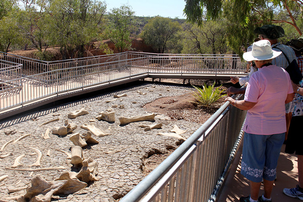 australian age of dinosaurs museum winton