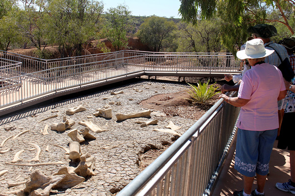 Australian Age of Dinosaurs Museum