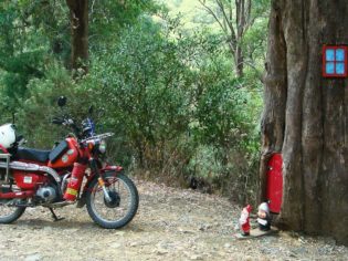 3. Mt Buller, Vic. In the base of a tree on the side of the road up to Mt Buller lives a little gnome family with a little gnome letterbox. We left our calling card.