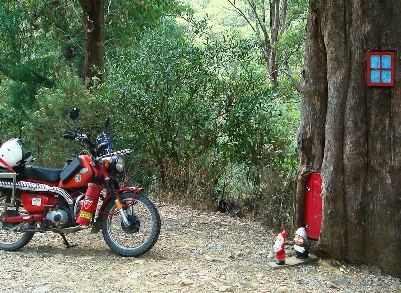 3. Mt Buller, Vic. In the base of a tree on the side of the road up to Mt Buller lives a little gnome family with a little gnome letterbox. We left our calling card.