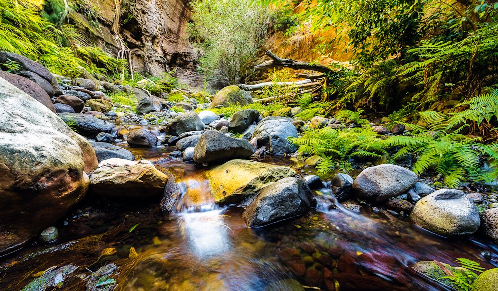 Carnarvon Gorge QLD