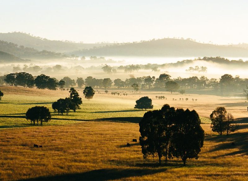 The secrets of NSW Central West - Orange and Mudgee.