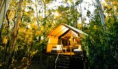 Winner of one of the most hard-fought categories: Paperbark Camp Jervis Bay