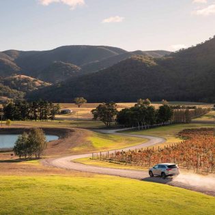 Logan Wines, near Mudgee, NSW, Australia