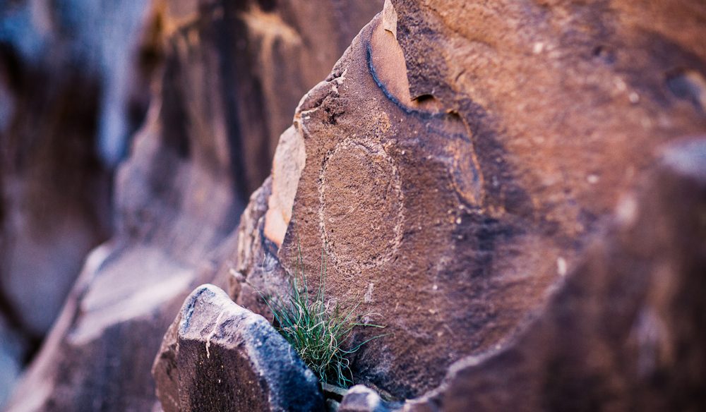 Indigenous rock art Sacred Canyon Flinders Ranges