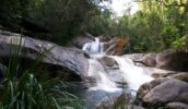 Josephine Falls Cairns swim
