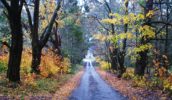 Trentham Victoria
