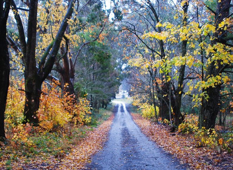 Trentham's gourmet treasure trail Australian Traveller
