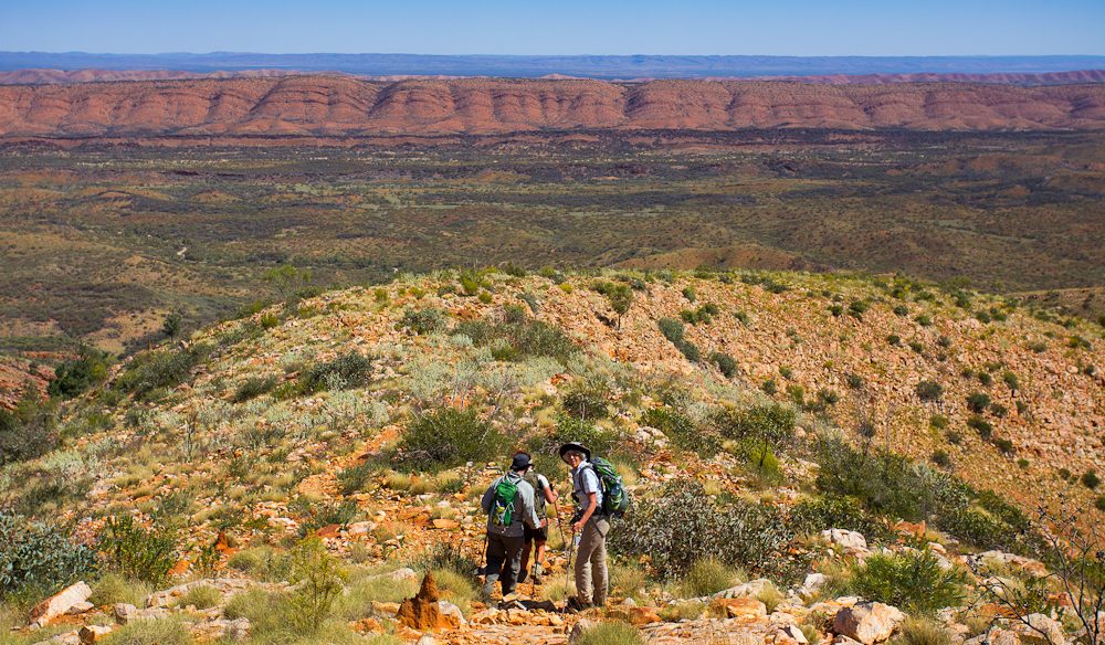 Counts Point lookout Larapinta Trail