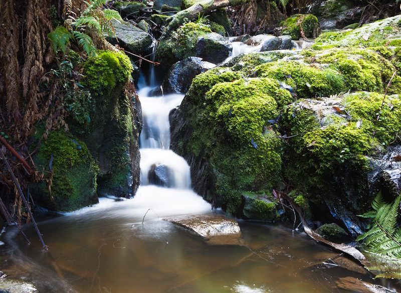 How To Spend The Perfect Weekend In The Dandenong Ranges Australian