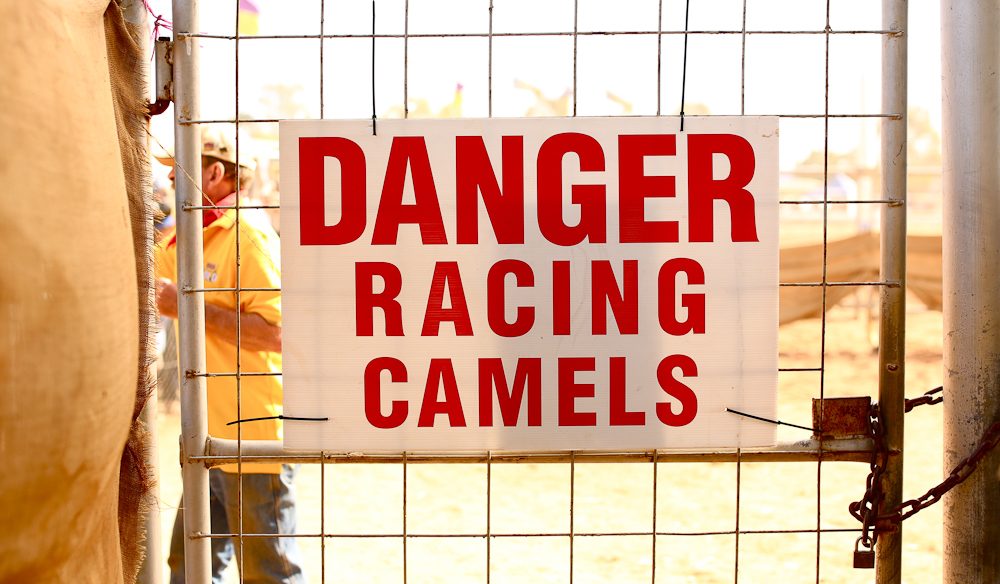 Beware racing camels Alice Springs