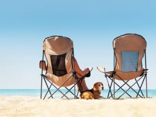 Travelling with pets: Your questions answered