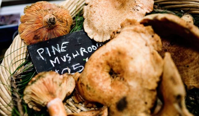Mushrooms Eveleigh Markets.