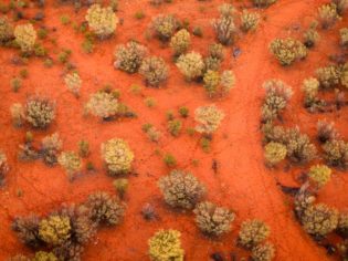 hot air ballooning outback Alice Springs