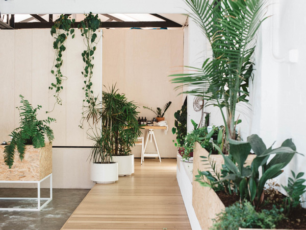 a calming oasis at Little Company, Melbourne